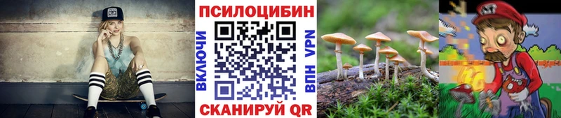 Псилоцибиновые грибы Psilocybine cubensis  купить наркотик  Нахабино 